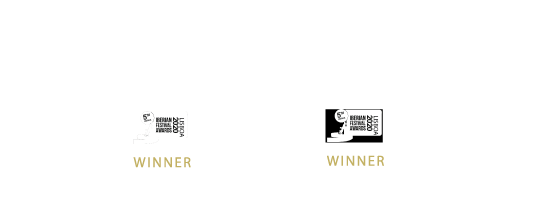 MOB premio 2020